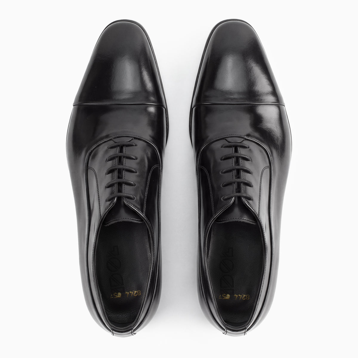 Sanzio Polished