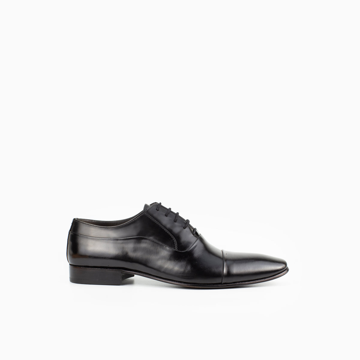 Sanzio Polished
